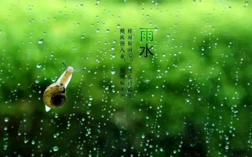 “雨水”來(lái)了，注意健脾祛濕防春寒，保健養(yǎng)生這么做！