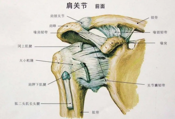 給愛打麻將的人一個養(yǎng)生理由：適度搓麻，延緩認知衰退！